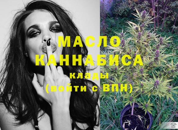 МДПВ Протвино