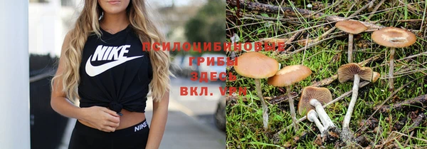 МДПВ Протвино