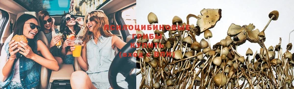 мдпв Пролетарск