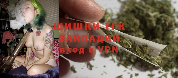 МДПВ Протвино
