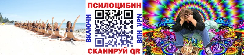 Галлюциногенные грибы MAGIC MUSHROOMS Серафимович